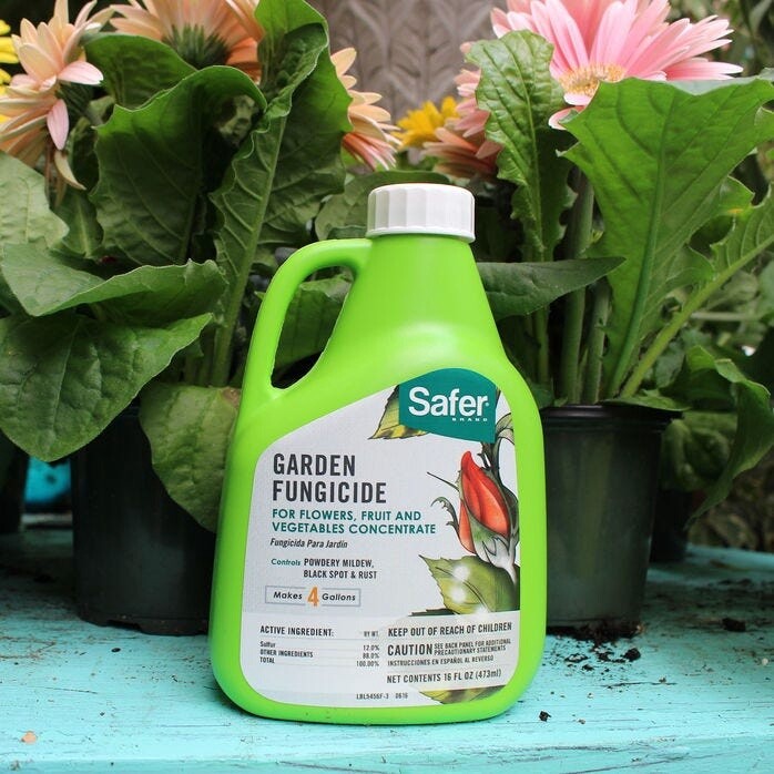 Safer Brand Garden Fungicide - 16 oz Concentrate