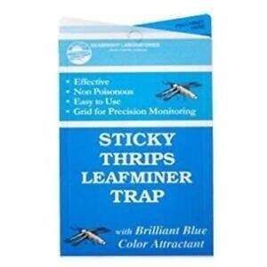 Seabright Blue Sticky Thrip/Leafminer Trap (5-count)