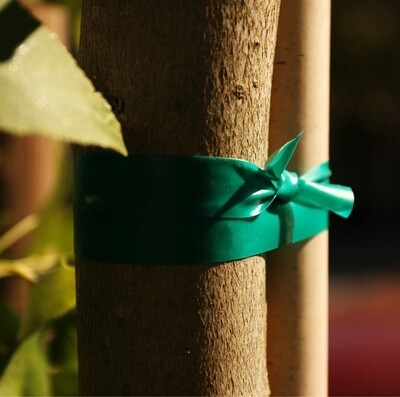 Plant Tie Vinyl Plant Tape (1/2" x 150')
