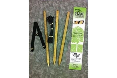 DeWitt® Pro Stake Straight™ Kit - for Use on Trees of 4in to 6in Diam - 32in Hardwood Stakes
