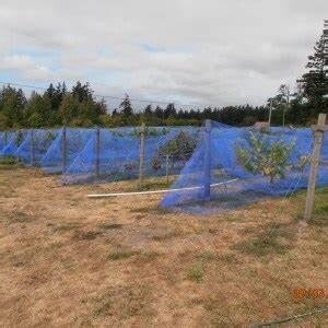 Big Bug Netting Blue - 1/6" Mesh