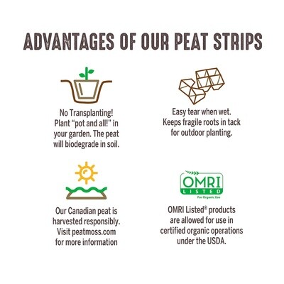 Jiffystrip® Peat Pot Strips &amp; Single Pots