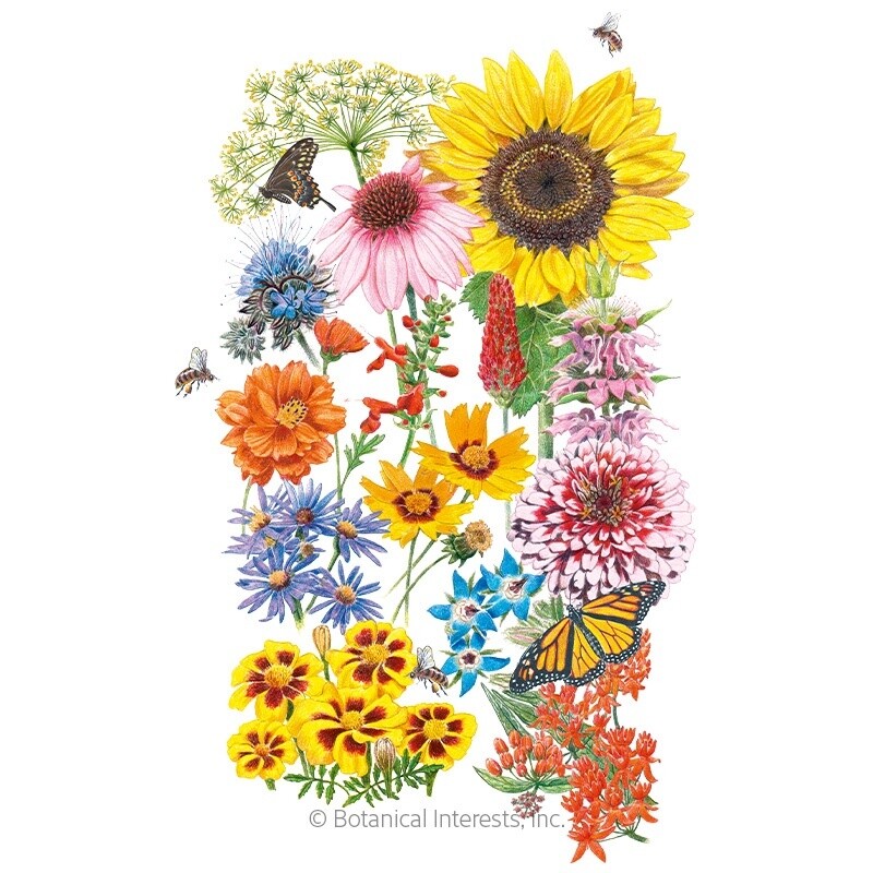 Flower Mix Precious Pollinators
