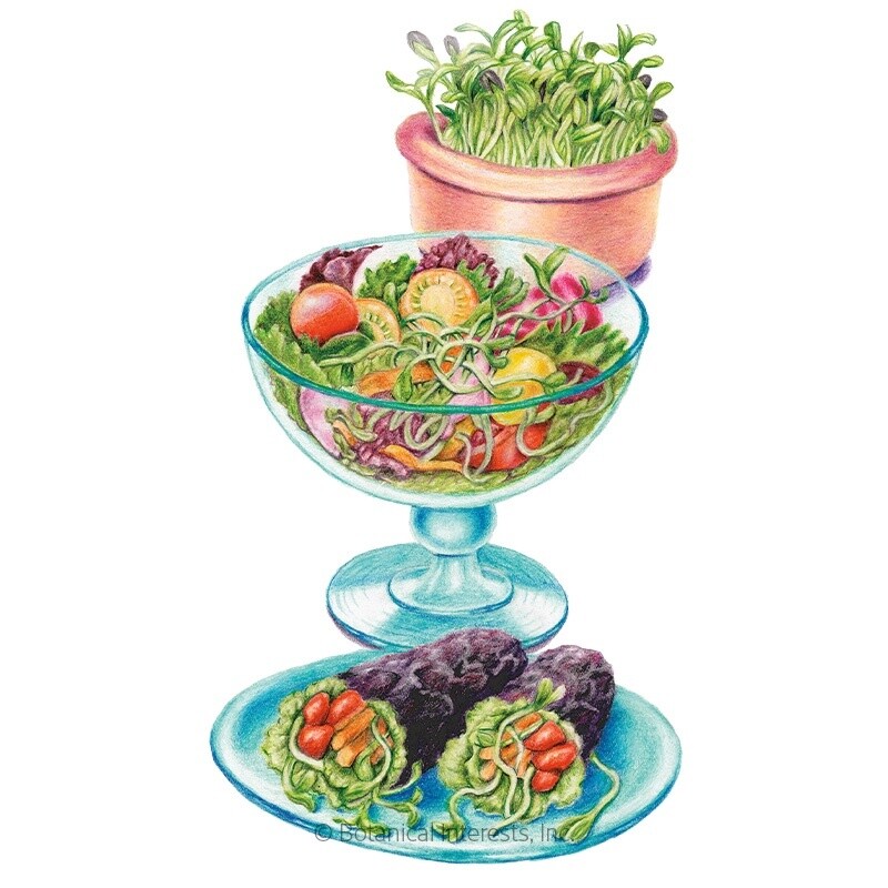 Microgreens Sunflower Organic