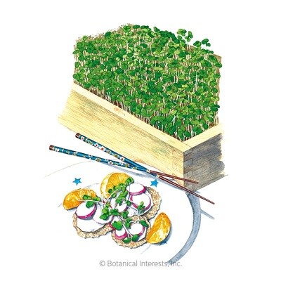 Microgreens Umami Asian Blnd Organic