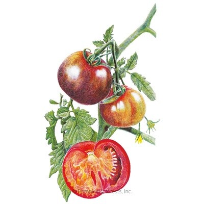 Tomato Black Krim Pole Organic Heirloom