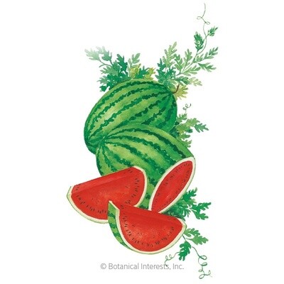 Watermelon Crimson Sweet Organic Heirloom