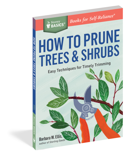 Storey Basics: How To Prune Trees & Shrubs