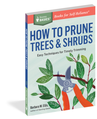 Storey Basics: How To Prune Trees & Shrubs