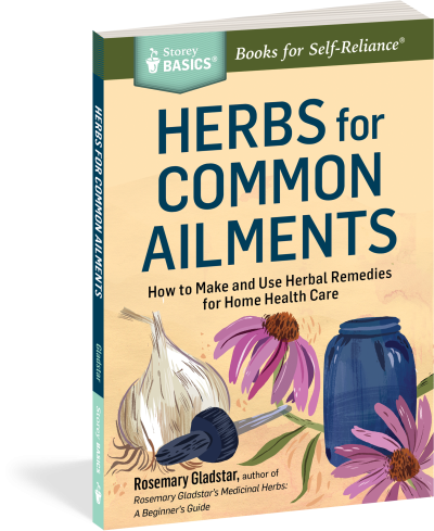 Storey Basics: Herbs for Common Ailments