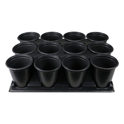 Carrier Tray for 12 x 1qt Round Pots