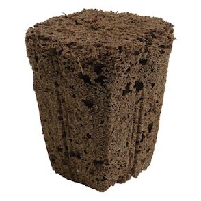 DaPlug Sponge Rooting Cubes