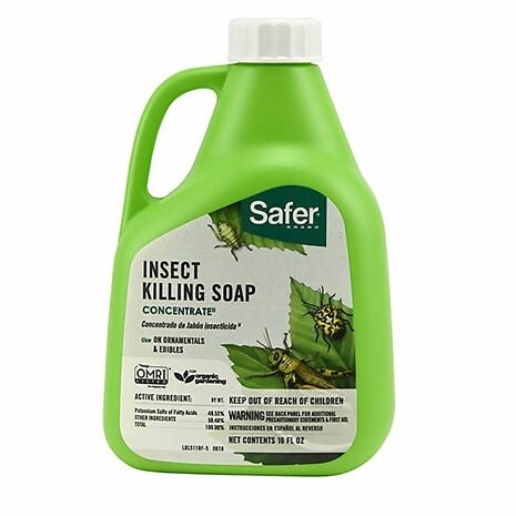 Safer® Brand Insect Killing Soap - 16 oz Concentrate