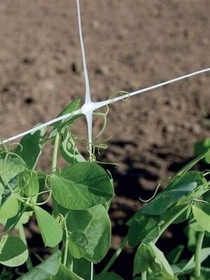 TENAX HortoNova Trellis Net