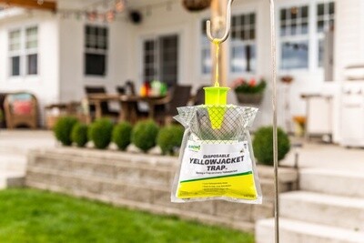 Rescue Disposable Yellowjacket Trap