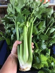 Celery Tango