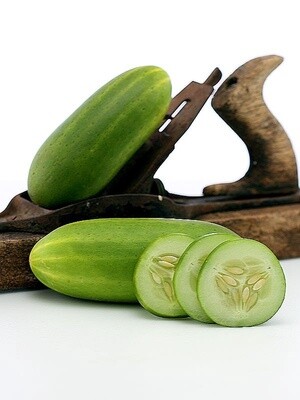 Cucumber - Mirella