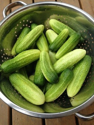 Cucumber - Vorgebirgstrauben