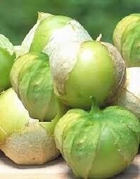 Tomatillo - Verde