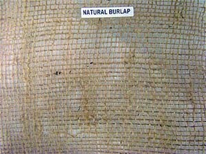 Natural Burlap 5 oz (3' x 24')