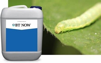 BT NOW (1 gallon)