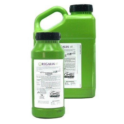Regalia CG