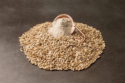 Organic Two-Row Malted Barley 50LB Bag