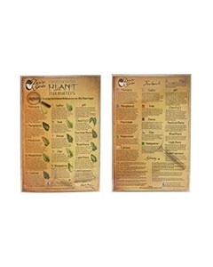Darwin&#39;s Garden Identifying Cards, Type: Plant Deficiencies