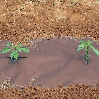 WeedGuard® Plus Organic Paper Rolls