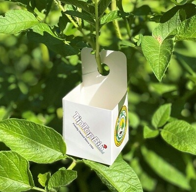 Amblyseius Cucumeris Sachet (1000 count)