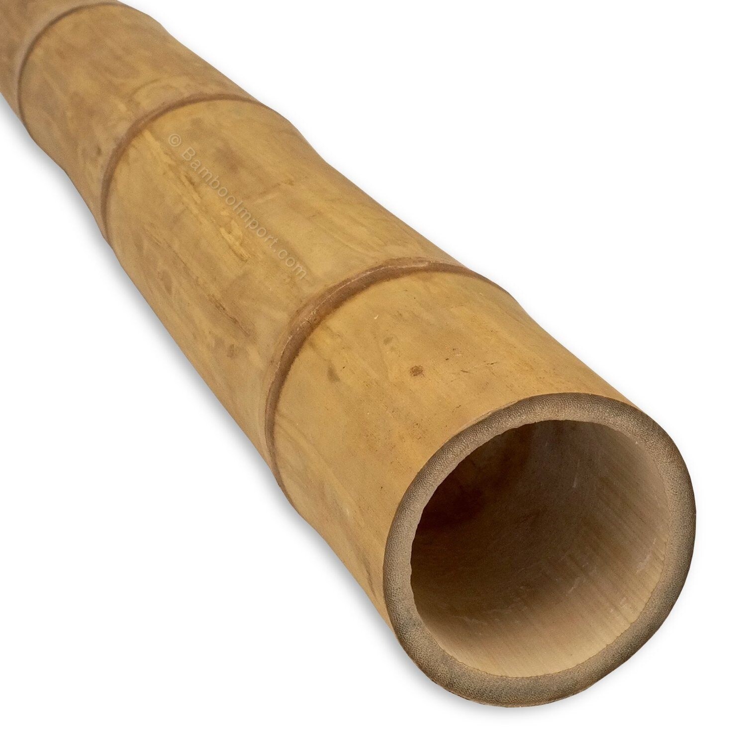 8' Jumbo Bamboo Pole