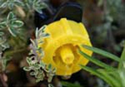 1/2 GPH Emitter (Yellow)
