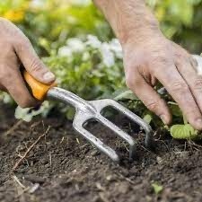 Cultivating & Planting Tools