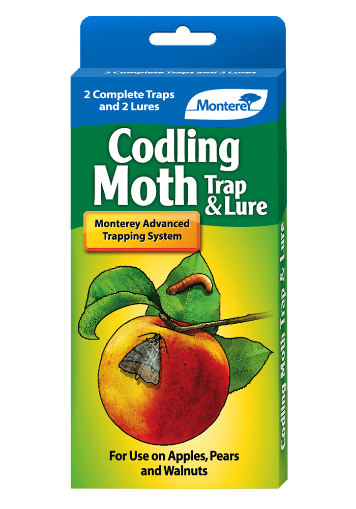 Monterey Codling Moth Trap &amp; Lure