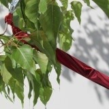 Bird-B-Gone Flash Tape (1" X 50')