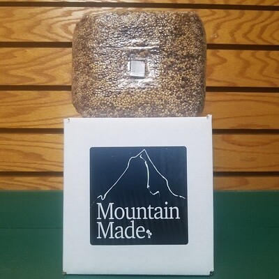 Mountain Made Sterilized Mushroom Grain Spawn MultiGrains 3lb Bag with Injection Port