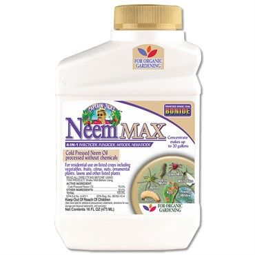 Bonide® Captain Jack’s™ Neem MAX