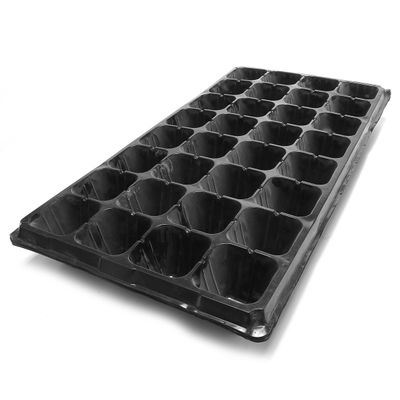 East Jordan Insert Seedling Tray Flat