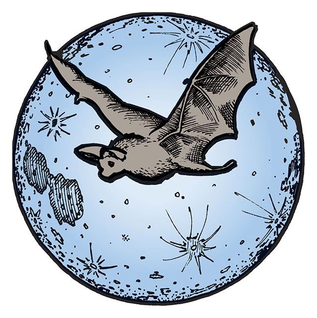 Down to Earth™ Bat Guano 7-3-1 - 10lb