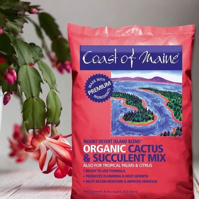 Coast of Maine® Mount Desert Island Blend™ Organic Cactus &amp; Succulent Mix - 8qt