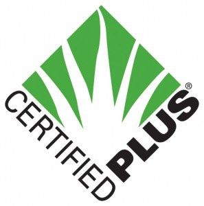 Organic Certified Plus® Aloe Vera Gel SD+ 200X