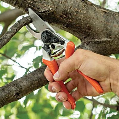 BYPASS PRUNER WITH TITANIUM COATED BLADES