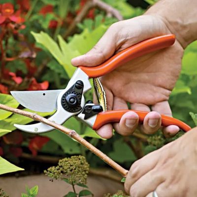 BYPASS PRUNER WITH CHROME COATED BLADES