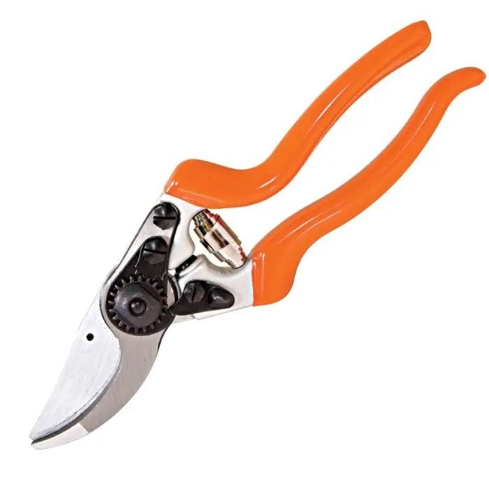 BYPASS PRUNER WITH TITANIUM COATED BLADES