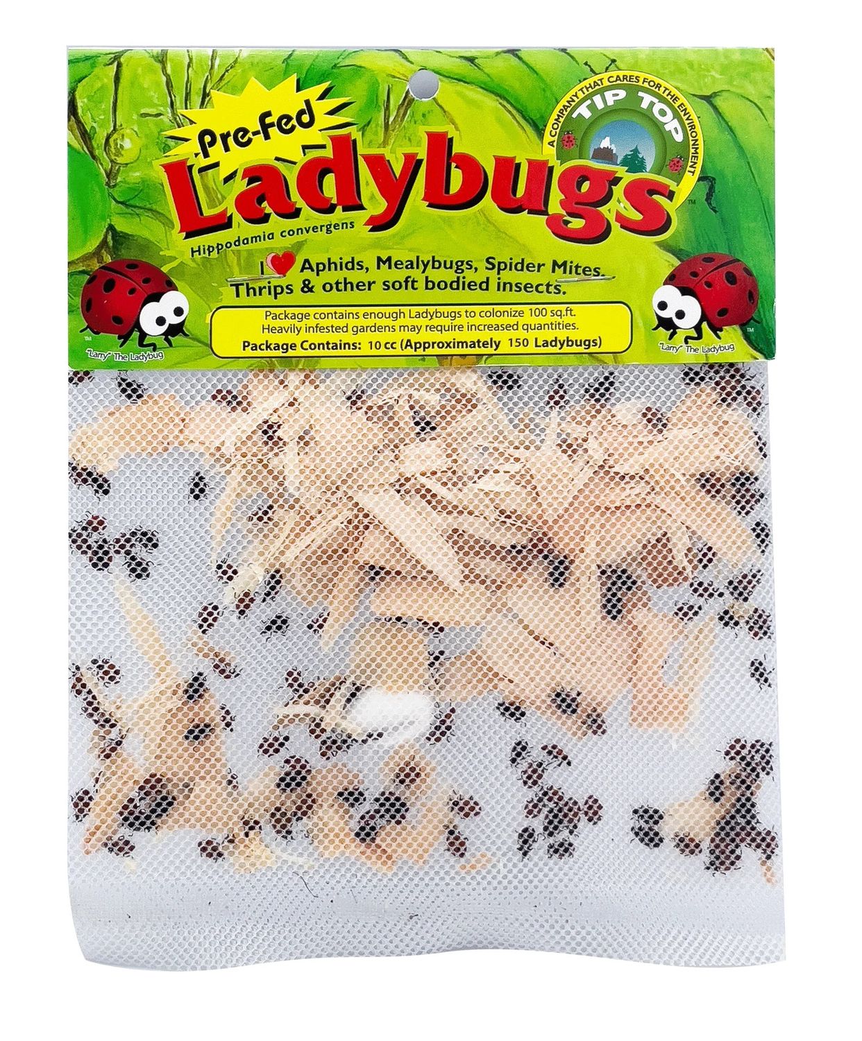 Ladybug 750-count