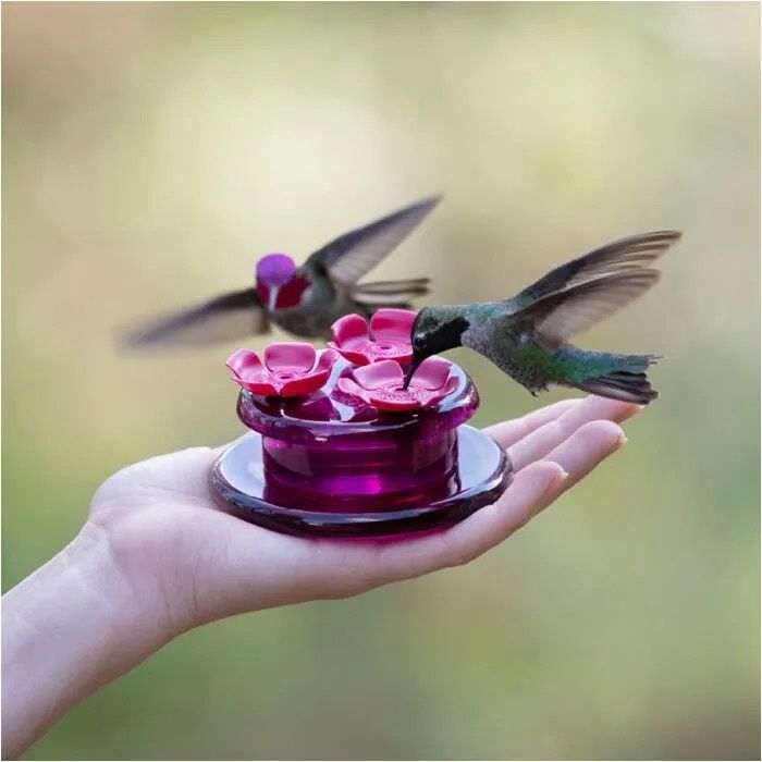 Perky-Pet® Handheld Hummingbird Feeder