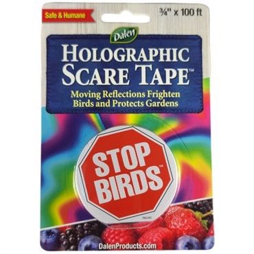 Dalen® Holographic Scare Tape™ 3/4&quot;x100&#39;