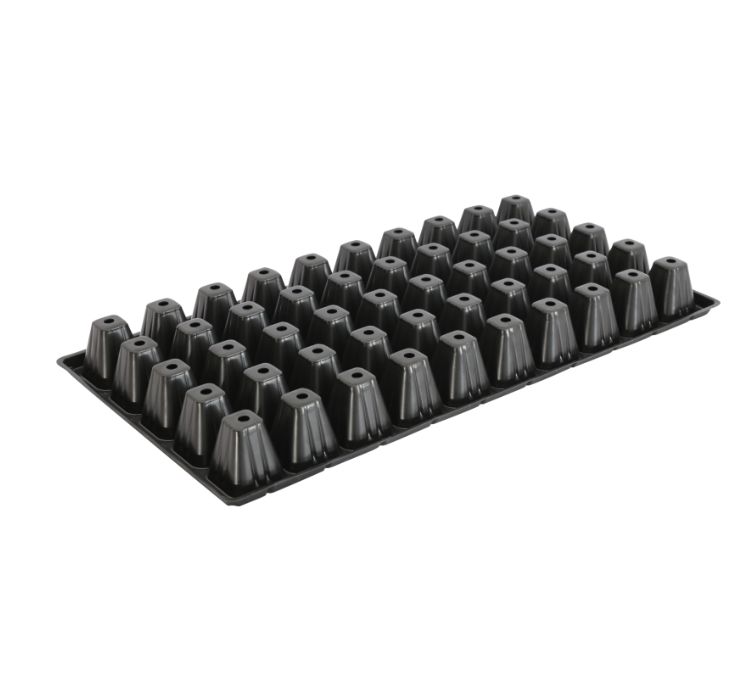 DLW Insert Seedling Tray Flat 11&quot; x 21&quot; (50 Cell) - NO TOP VENTS