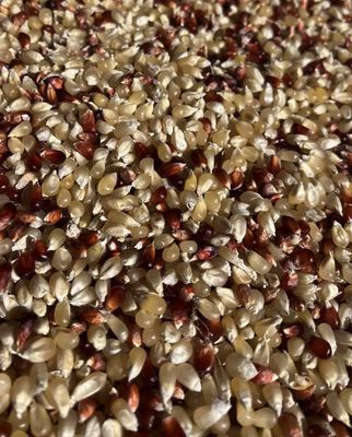 Popcorn - Jubilee Pop