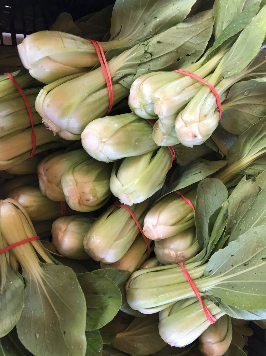 Greens - Shanghai Bok Choi (Asian)